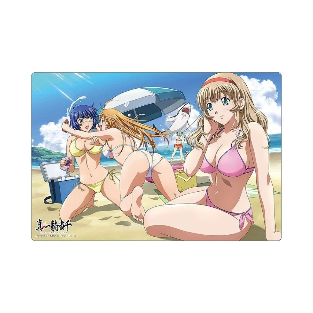 Bushiroad Rubber Mat Collection Ikki Tousen Vol 560